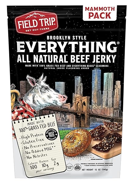Field Trip Everything Bagel Seasoned Jerky